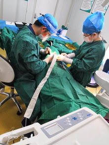 十年磨一劍 呼市至美口腔獲國內外專家認可，引領口腔診療服務新標準